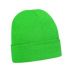 4243_Bright Green_schräg