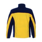 FL Gold Navy Scarlet Back