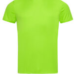 ST Kiwi Green