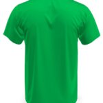 ST2000 Kelly Green Back