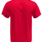 ST2000 Scarlet Red Back